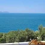 Endry Vlorë