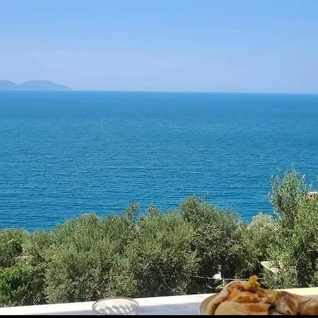 Endry Vlorë